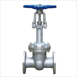 DZ41W�քӵ͜��l�y